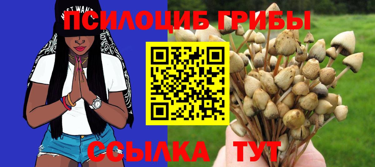 Псилоцибиновые грибы Cubensis Мирный