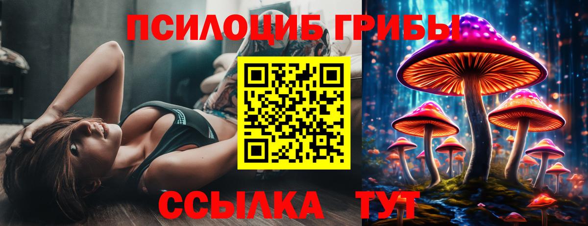 Галлюциногенные грибы Psilocybine cubensis  Вход с VPN  Мирный 